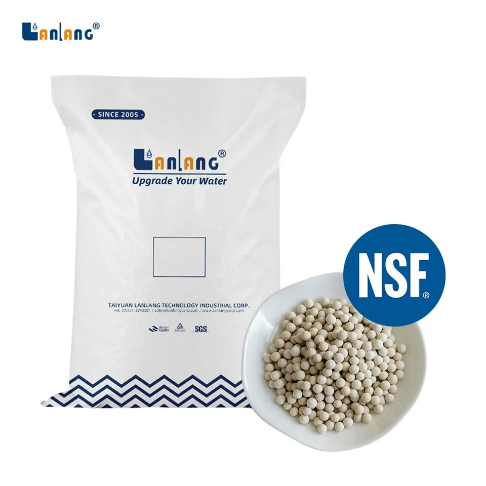 मेटा-सिलिकिक एसिड बायो सिरेमिक